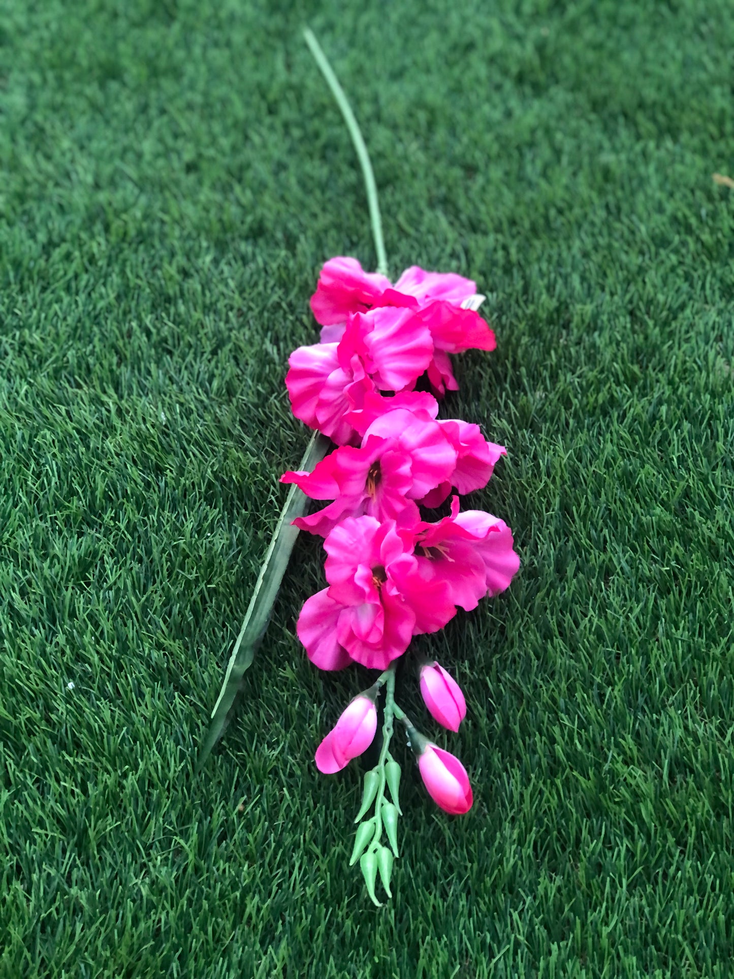 GLADIOLUS SPRAY PINK 78cm