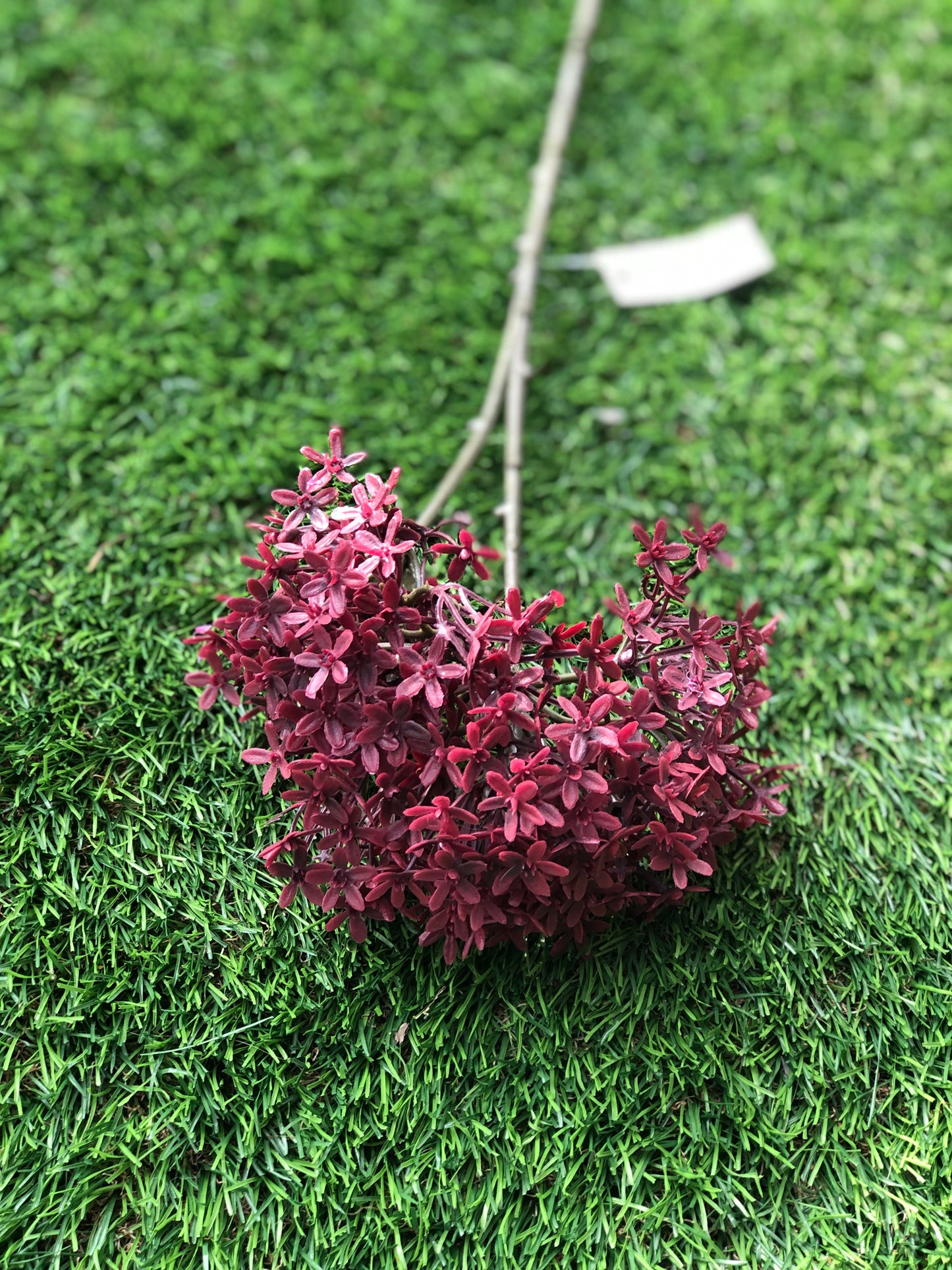 PLASTIC CROWN FLOWER BURGUNDY 70cm