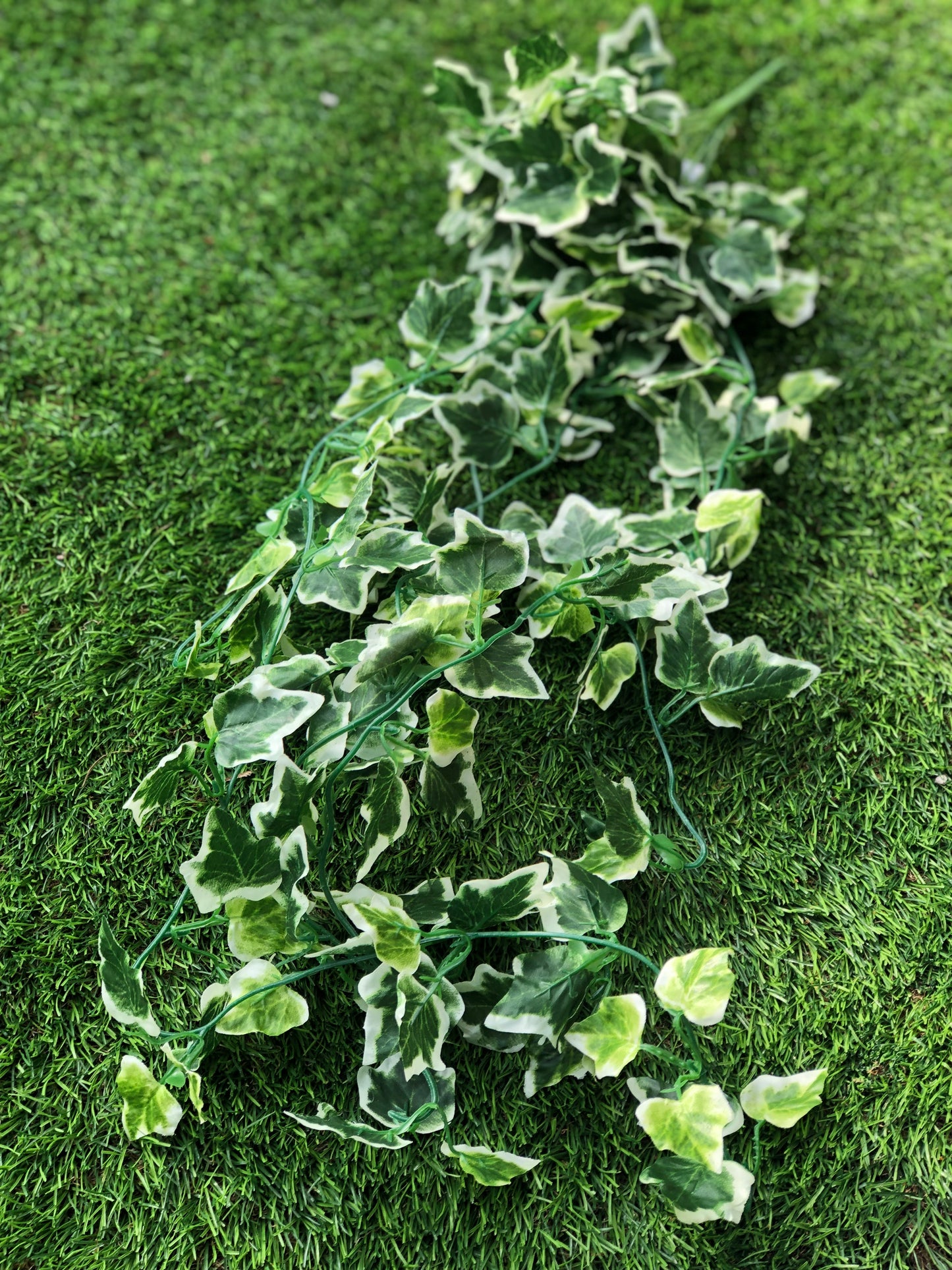 90cm VARIEGATED TRAILING IVY