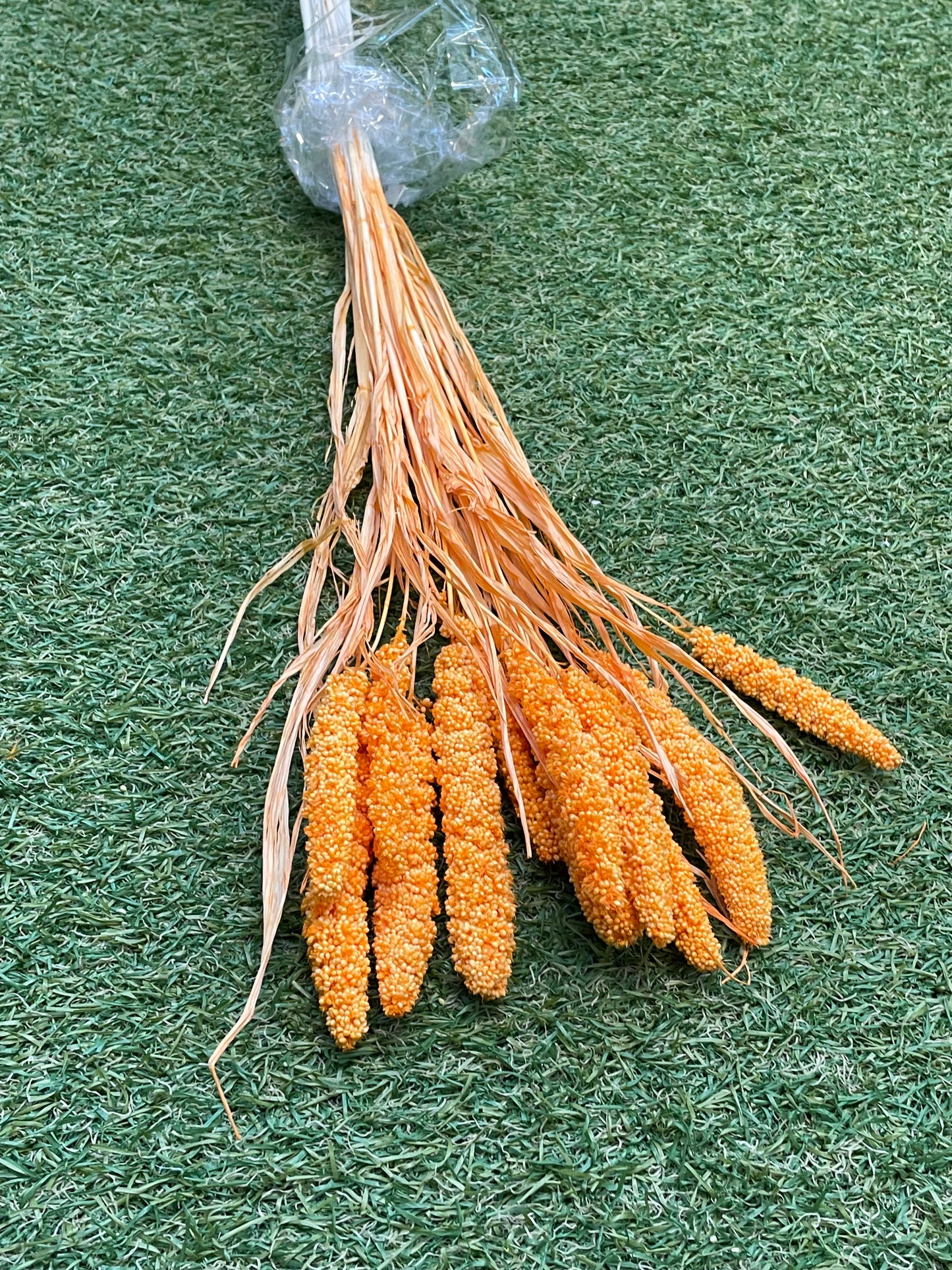 DRIED MILLET ORANGE 10 STEMS