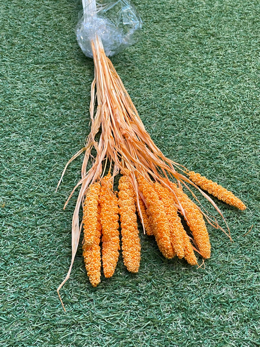 DRIED MILLET ORANGE 10 STEMS