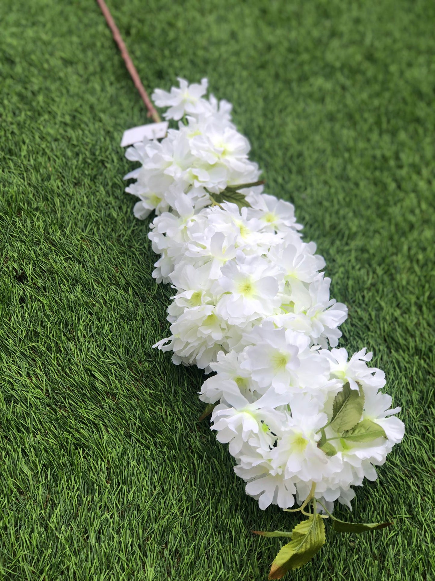 LONG STEM BLOSSOM BRANCH GREEN/IVORY 100cm