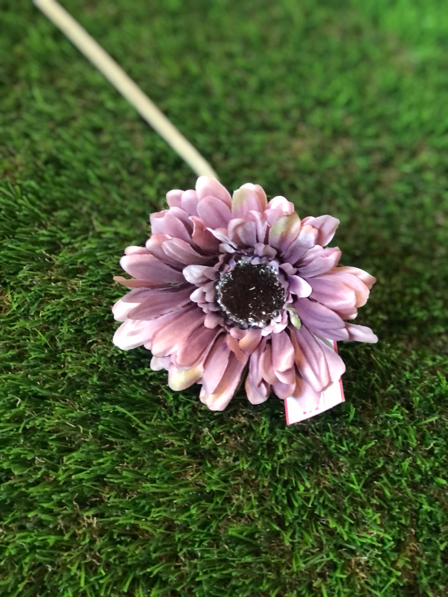 21INCH SINGLE STEM GERBERA MAUVE