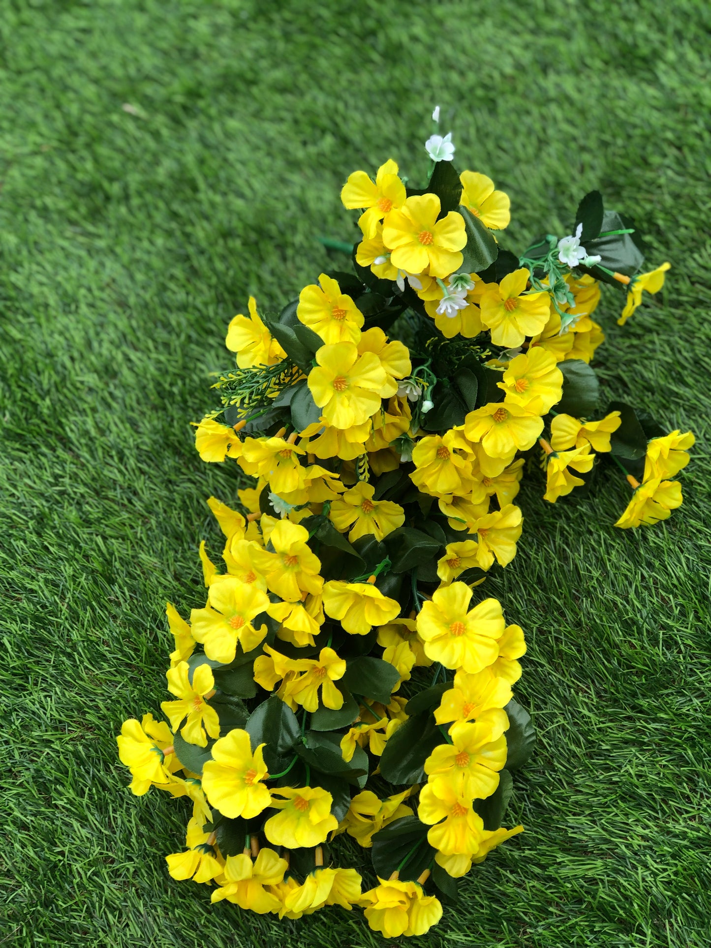 TRAILING NASTURTIUM YELLOW