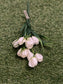 MINI TULIP BUNCH WHITE