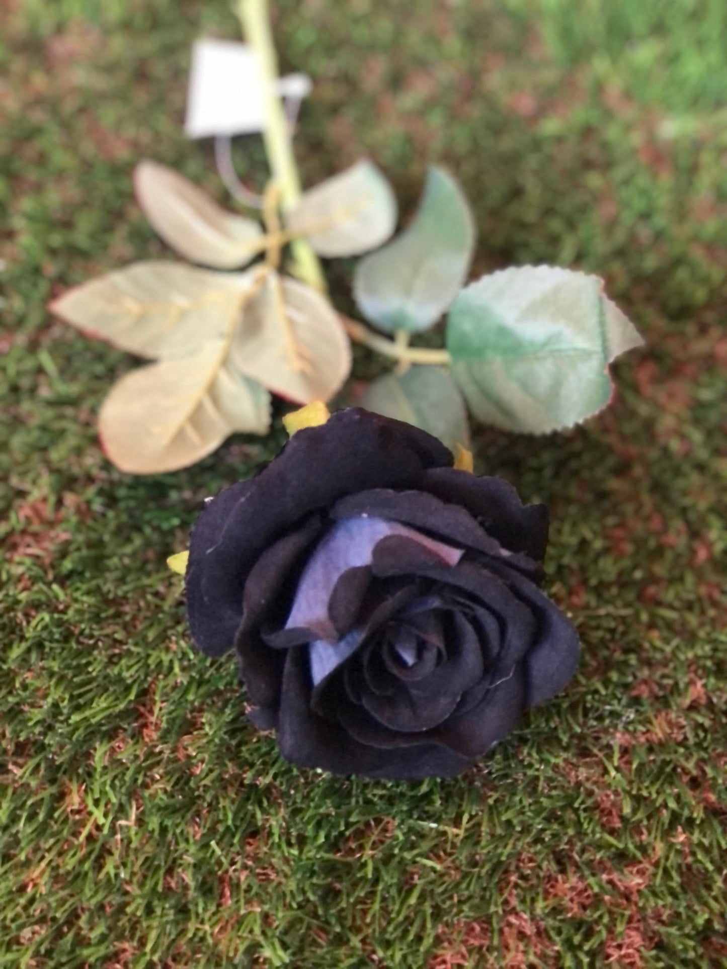 52cm SINGLE STEM VELVET ROSE BLACK