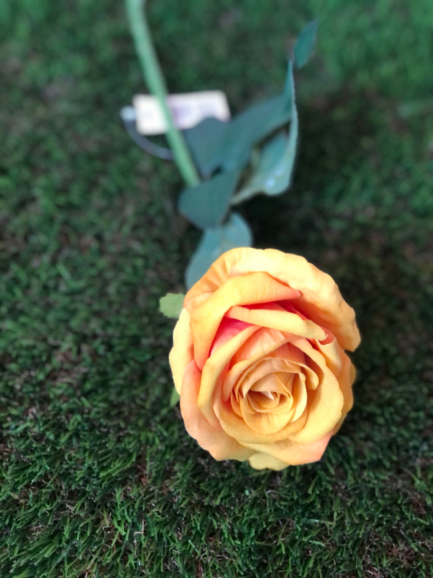 52cm SINGLE STEM VELVET ROSE MUSTARD