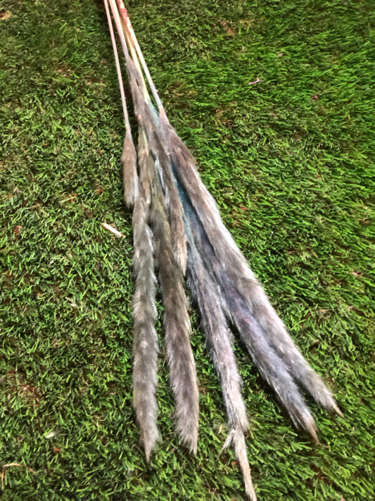 SINGLE STEM PAMPAS PACK 6 BLUE/TORQUOISE