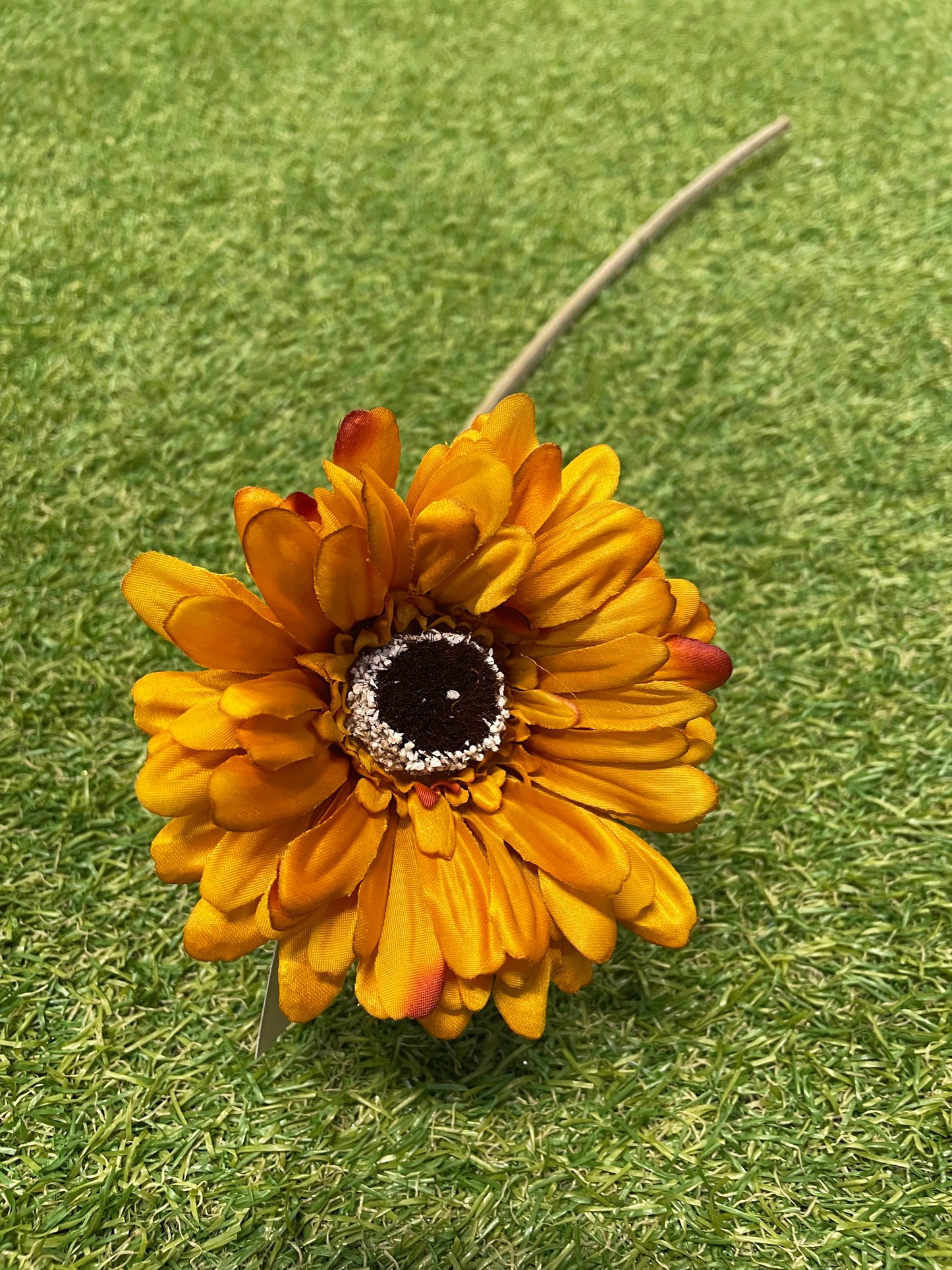 21INCH SINGLE STEM GERBERA MUSTARD