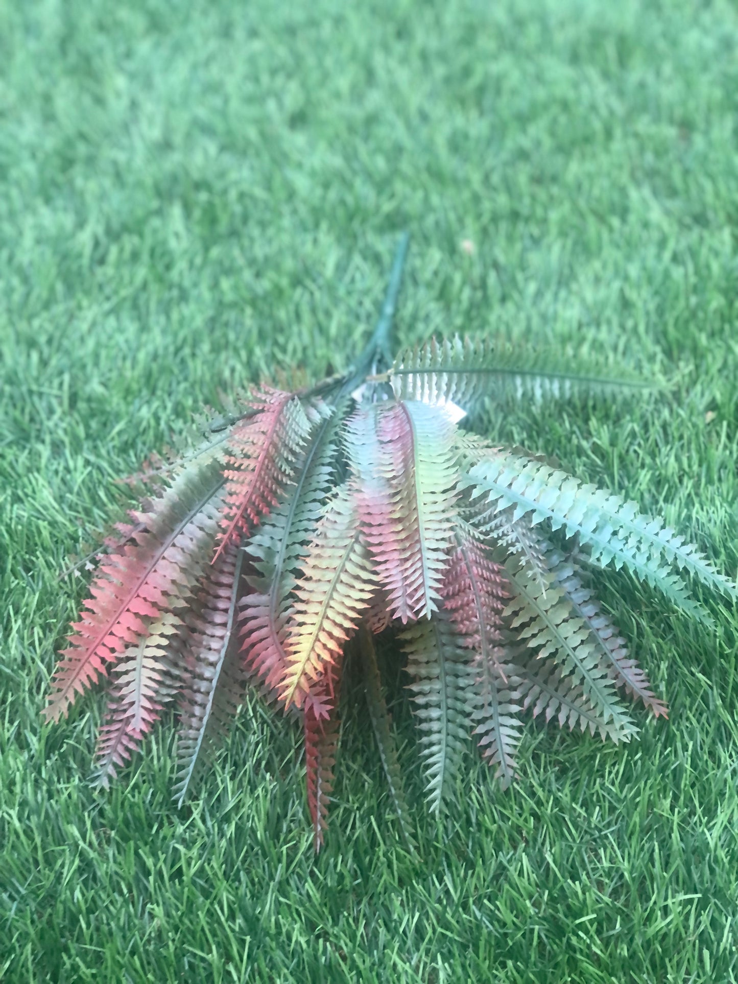 SMALL WAXED LOOK FERN BUSH GREEN/BROWN 34cm