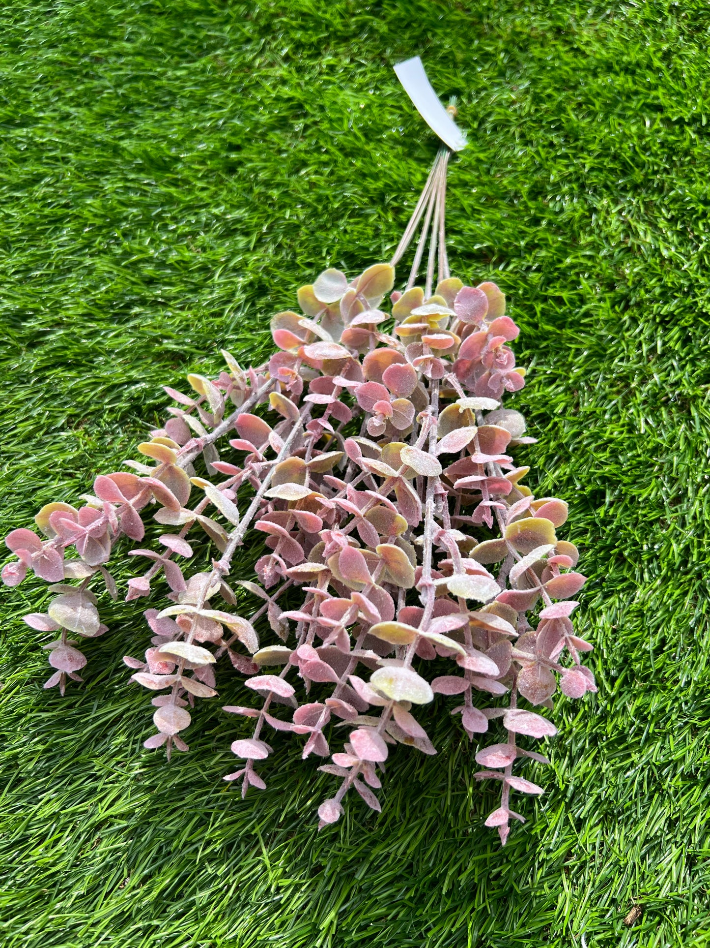 PINK WAXED EUCALYPTUS BUNCH